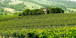 Chi siamo
